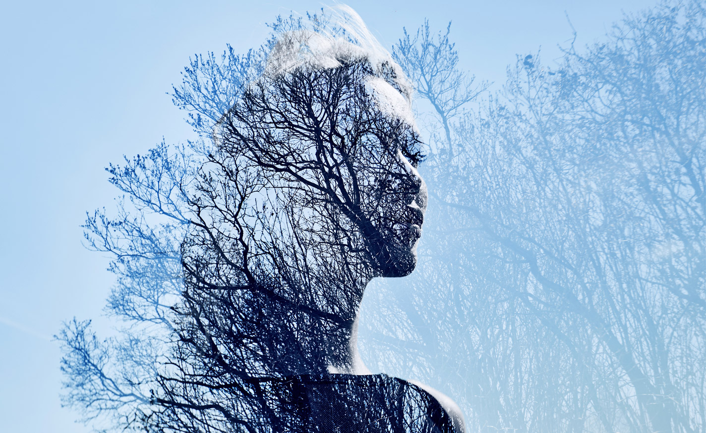 Image hover effect image